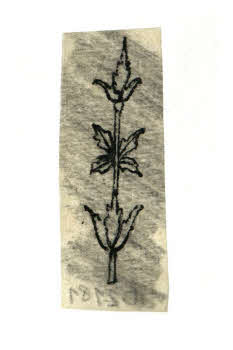 Visualizza l'immagine "FD D 2181"